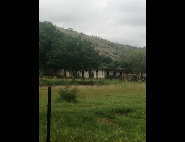 FARM FOR SALE IN DE WILDT